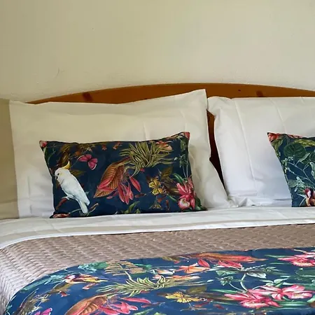 公寓 Anna Sorgeto *